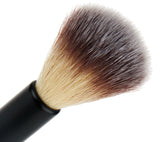 EVE PEARL Blush Trio & 204-Fan Highlighter Brush- Sassy Cheeks